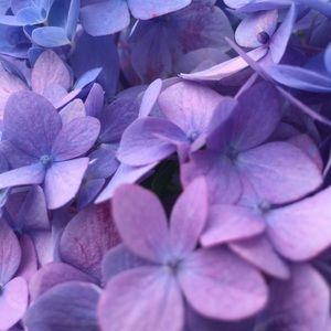 Meet your Posher, Skylar